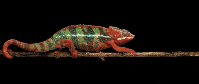 微信公眾號圖片