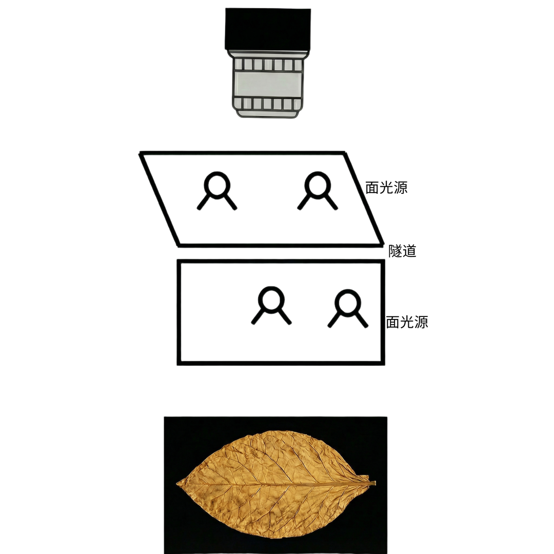 微信公眾號圖片