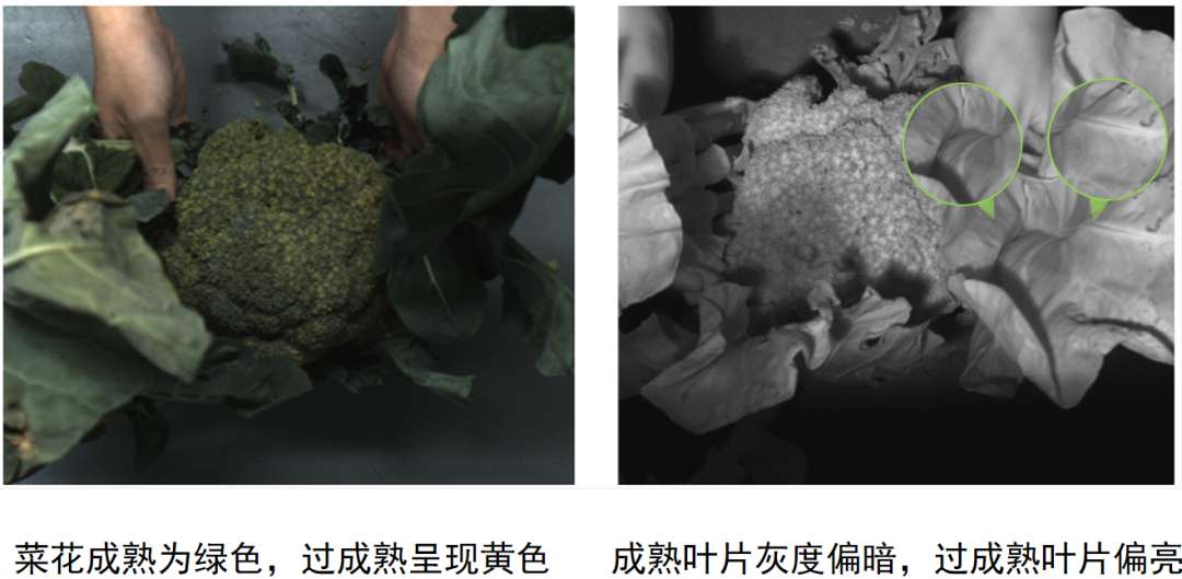 微信公眾號圖片